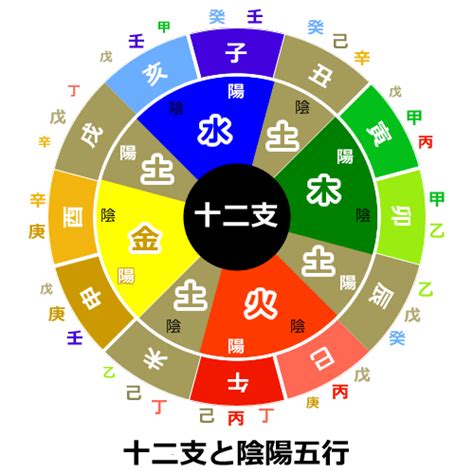 五行 動物|【五行 動物】用命盤五行找出你的絕配動物！快來測驗你的寵物。